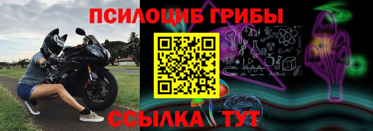 что такое наркотик  Вход с VPN  Гагарин  Псилоцибиновые грибы GOLDEN TEACHER  Галлюциногенные грибы MAGIC MUSHROOMS 